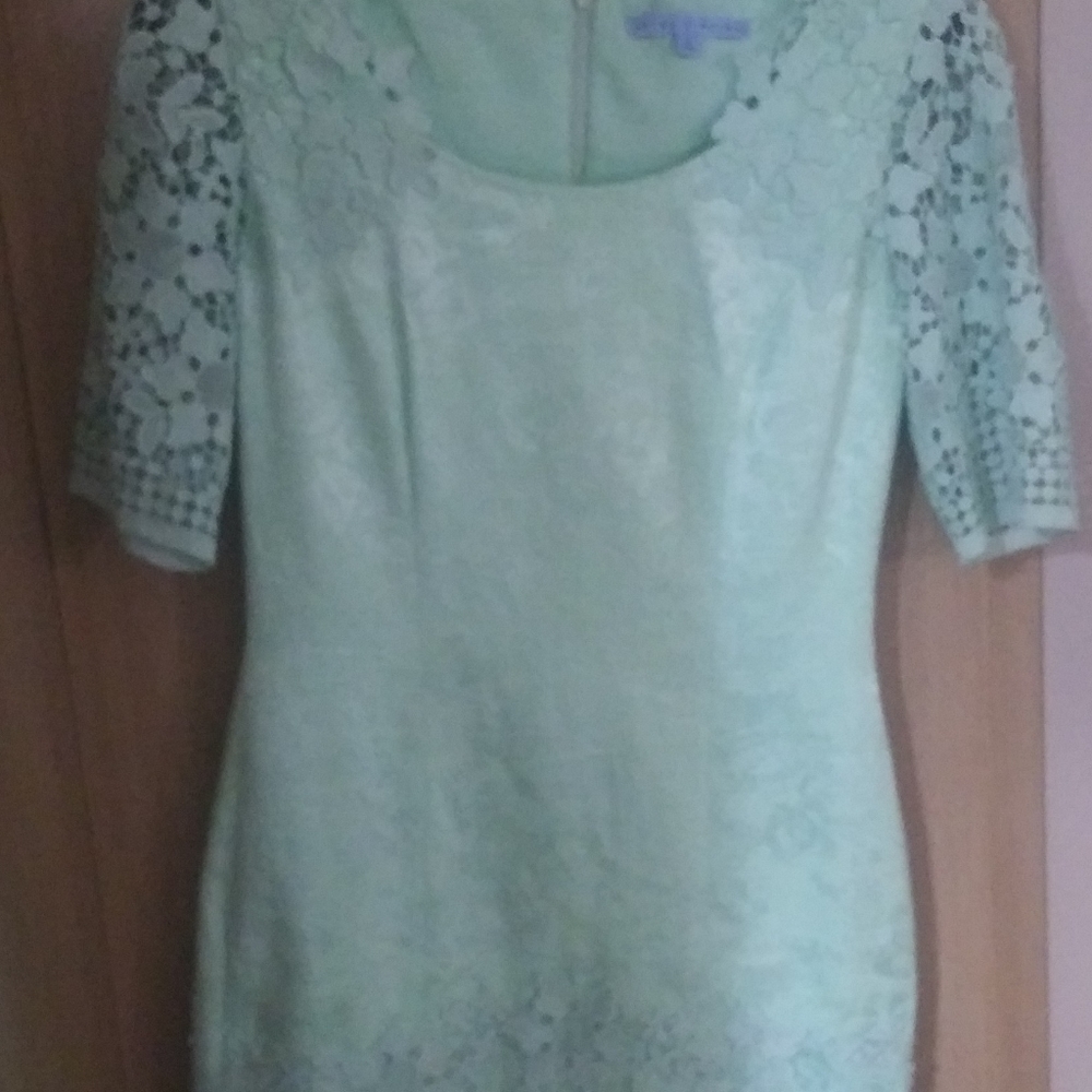 Antonio Melani size 2 light green fitted dress
